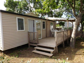 Bungalow de 3 chambres avec terrasse amenagee et wifi a Sigean a 7 km de la plage